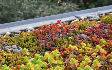 the cost of Charlton Kings green roof installation