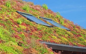 Charlton Kings living roof systems
